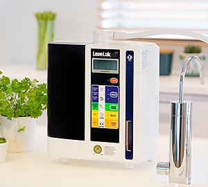 Exclusive Global Producer of Kangen Water® Ionizers » Realizing 